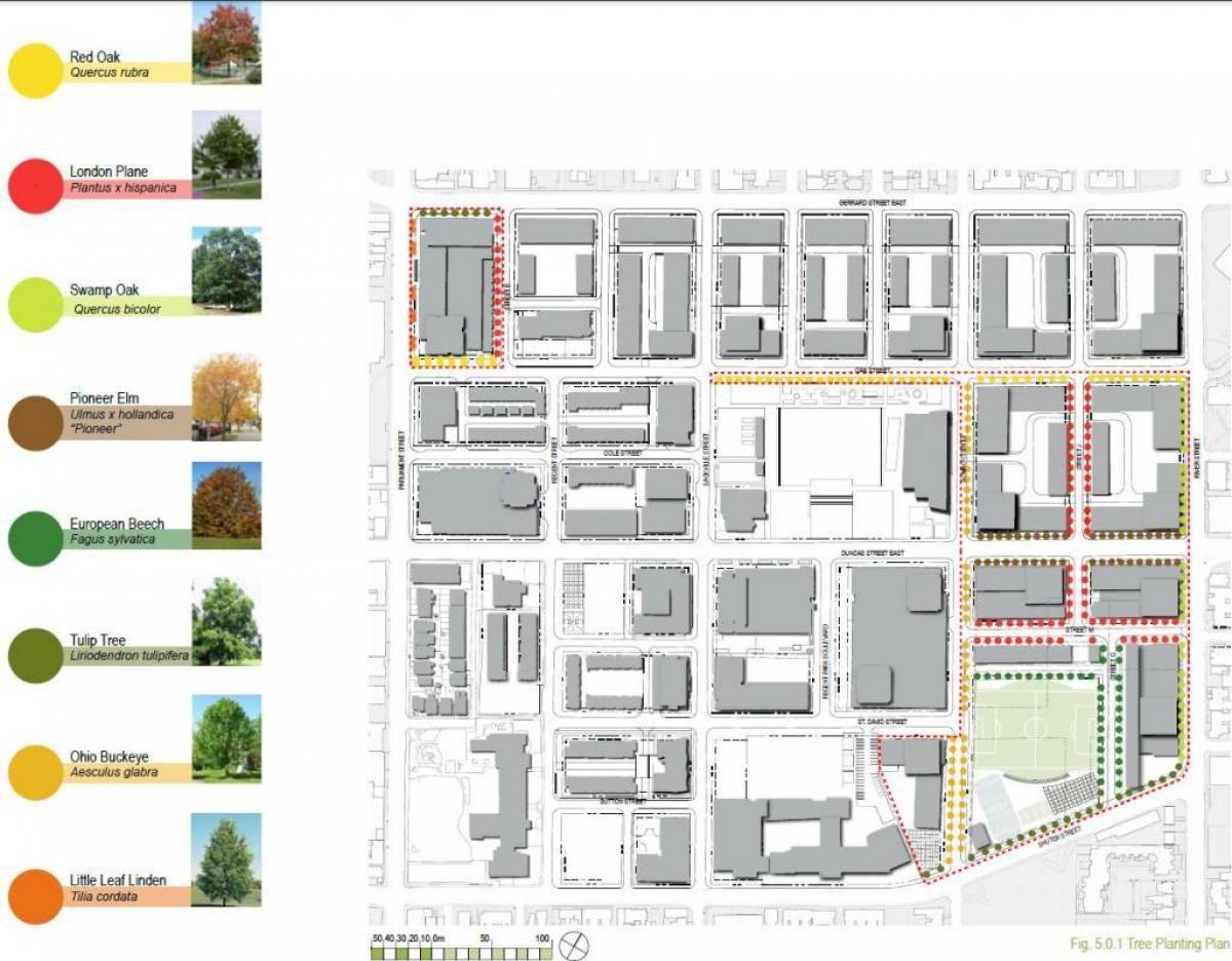 Térkép Revitalizációs terv Regent Park Toronto fázis 3