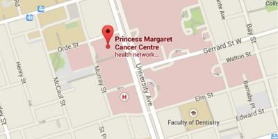 Térkép Margaret Hercegnő Cancer Centre Toronto