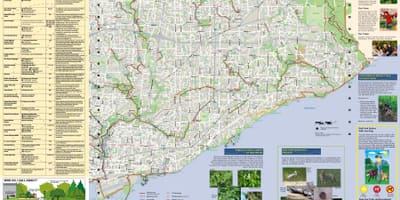 Térkép parkok, sétautak East Toronto