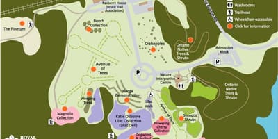 Térkép RBG Arborétum